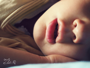 baby and toddler nap